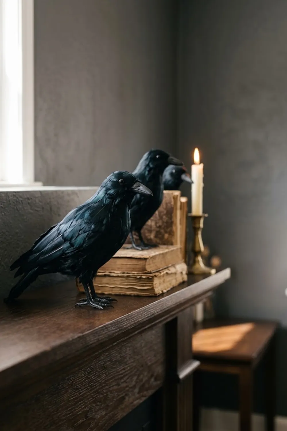 Crow Perch