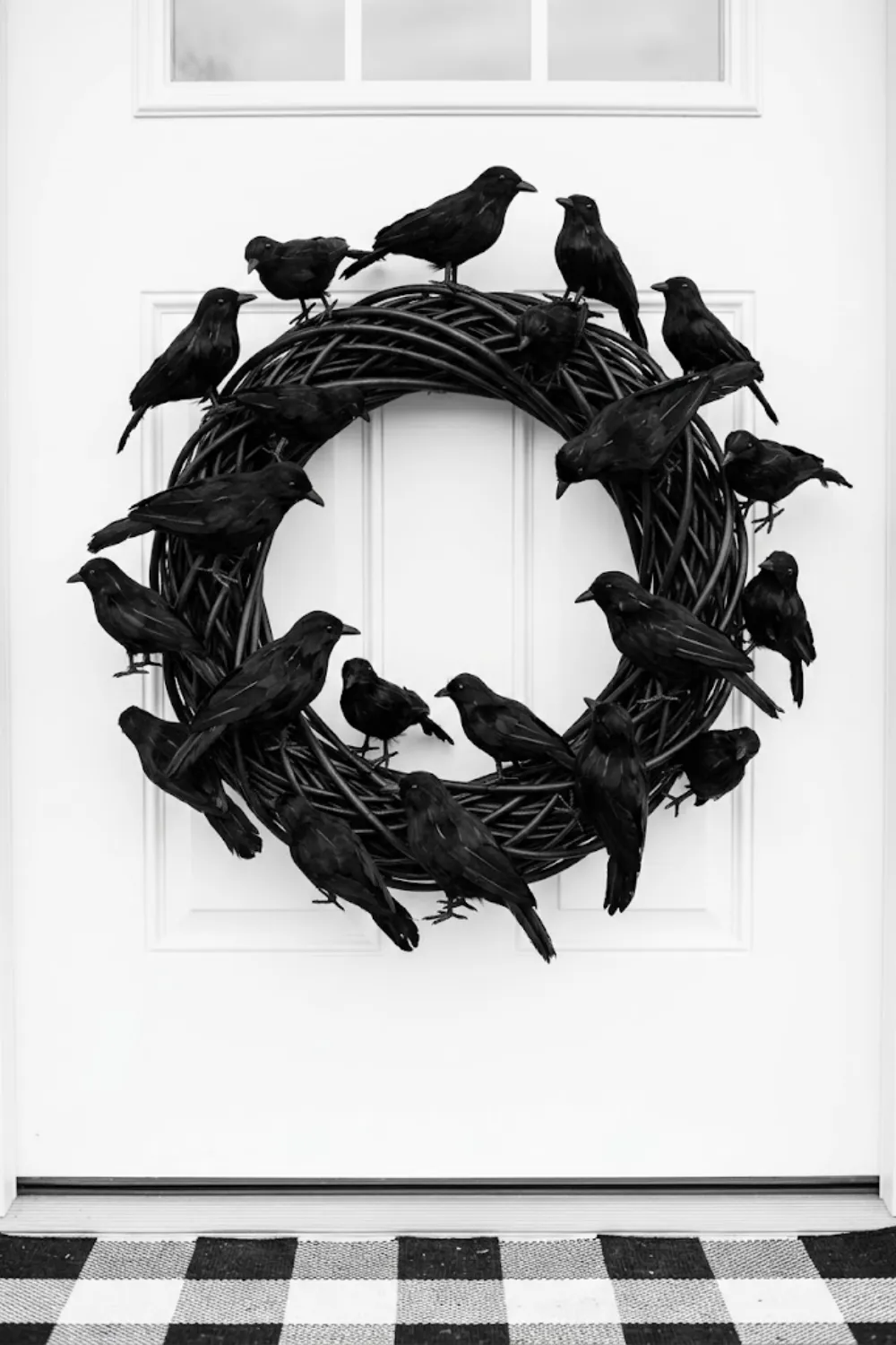 Monochromatic Black Raven Display